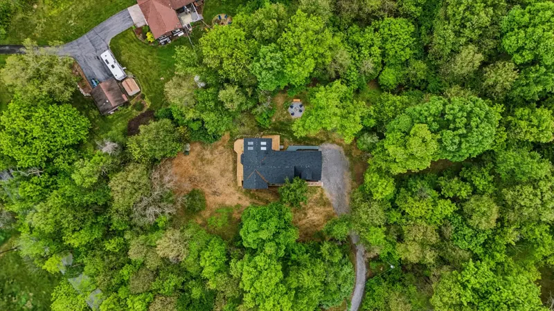 Wooded lot top-down